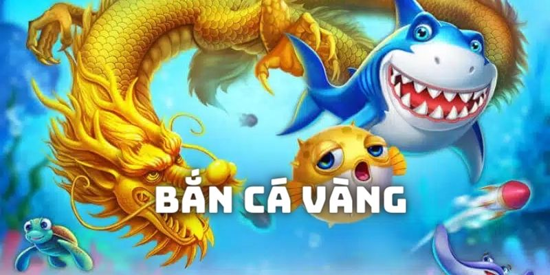 FAQ: Câu hỏi của hội viên khi trải nghiệm game Bắn Cá Vàng